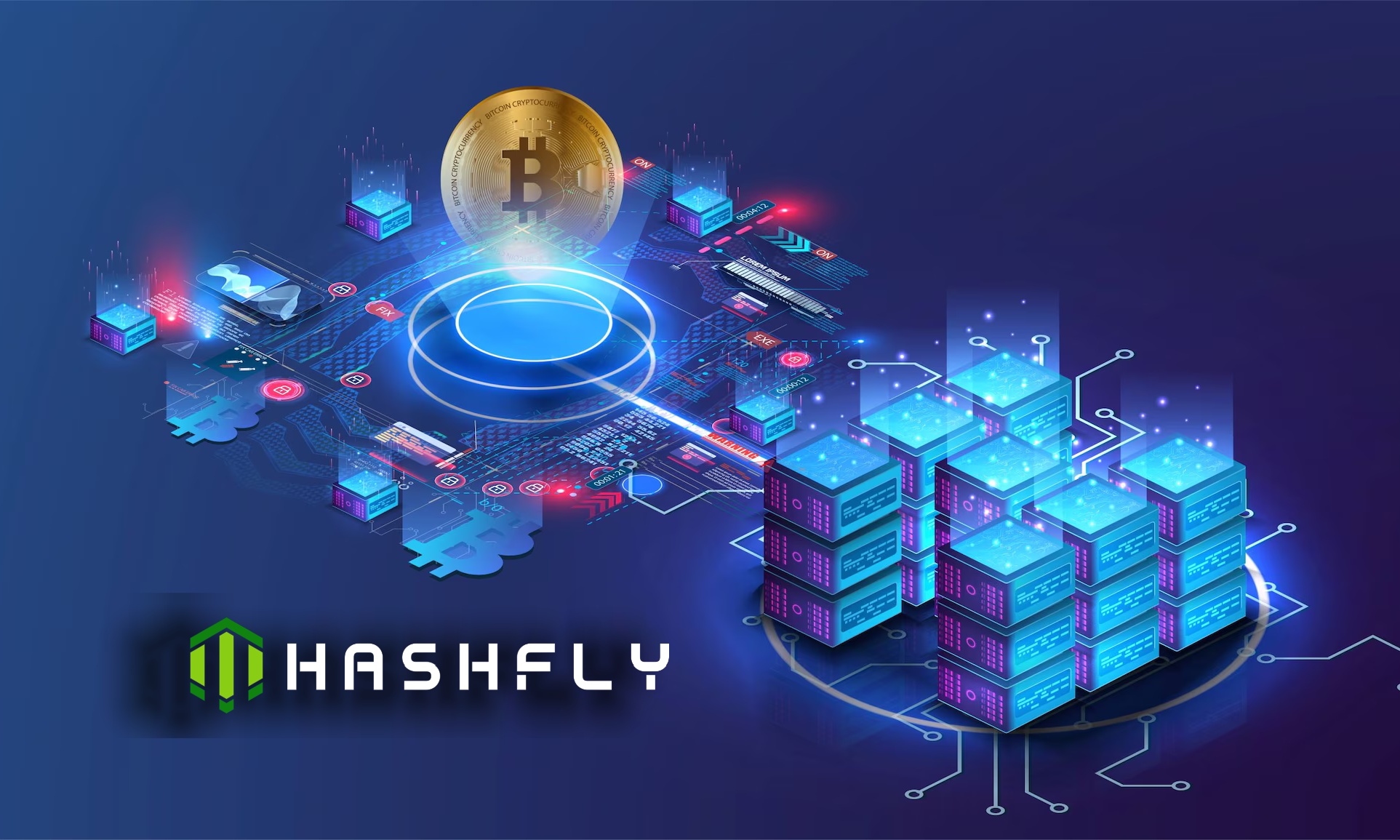 hashfly-best cloud mining